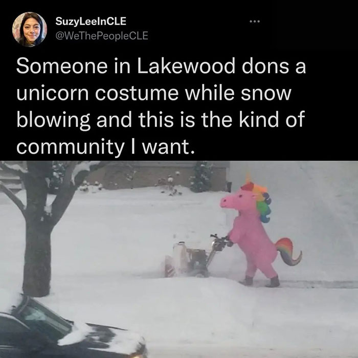 wholesome moments - communication quotes - SuzyLeelnCLE Someone in Lakewood dons a unicorn costume while snow blowing and this is the kind of community I want.