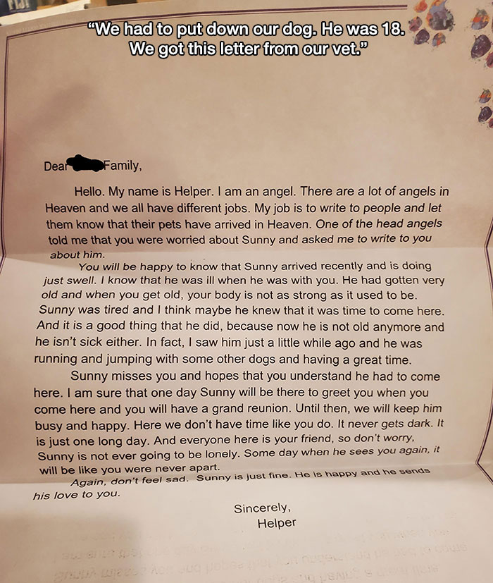 wholesome moments - document - "We had to put down our dog. He was 18 We got this letter from our vet." Dear Family, Hello. My name is Helper. I am an angel. There are a lot of angels in Heaven and we all have different jobs. My job is to write to people 