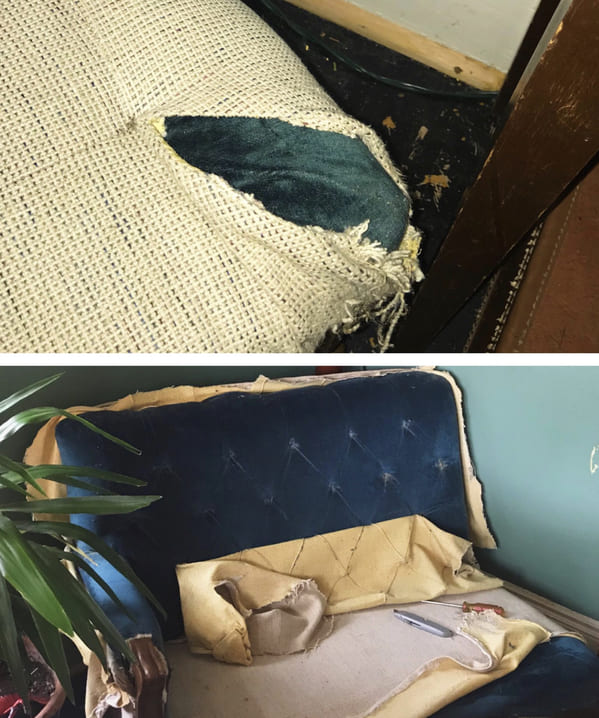 “Found this “white couch” in a free pile years ago and saw a rip in it last night when I was cleaning to find it was reupholstered over gorgeous emerald green fabric this whole time!”
