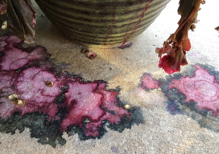 “Dying flowers created a tie dye effect on my patio.”