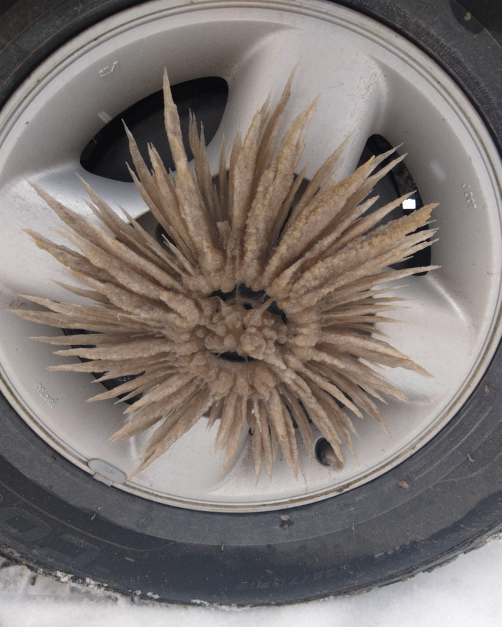 “My wheel after driving in the snow all day”