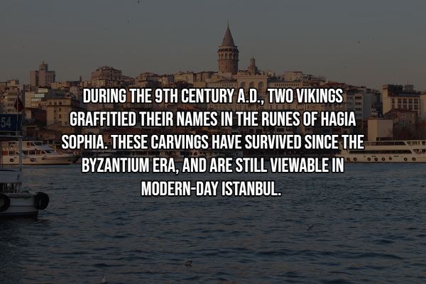 17 Random Facts To Fill Your Head With.