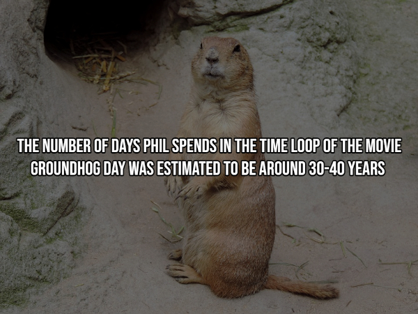 17 Random Facts To Fill Your Head With.