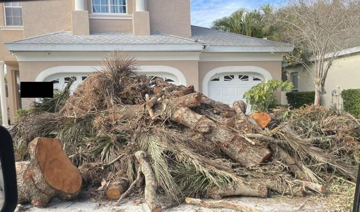 "My neighbor “allegedly” refused to pay the guy who cleared his back yard. He’ll be coming home to this gift left in his driveway."