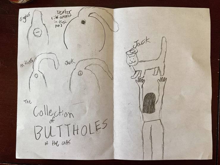 "My 10yr old made me a birthday card with detailed drawings of the buttholes of our 4 cats and titled it: “The Collection of BUTTHOLES of the cats”."