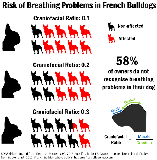 25 Charts Filled With Random Knowledge.