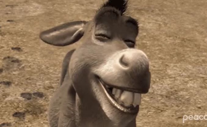 SOME PEOPLE USED TO BELIEVE THAT KISSING A DONKEY COULD RELIEVE A TOOTHACHE.