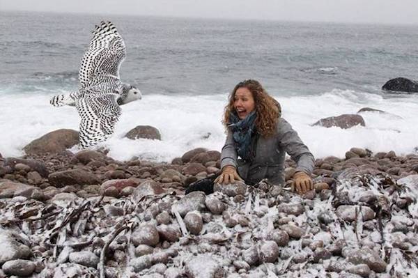 perfectly timed photos - sea