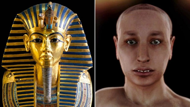 King Tut’s parents were probably brother and sister, and as a result he had a clubbed foot, wide hips, potbelly, female-like breasts, required a cane, and was prone to malarial infections. In 2010 researchers performing DNA analyses on the remains of King Tut and his relatives made a shocking announcement. The boy king, they believed, was the product of incest between the pharaoh Akhenaten and one of his sisters. Inbreeding was rampant among ancient Egyptian royals, who saw themselves as descendants of the gods and hoped to maintain pure bloodlines. Experts think this trend contributed to higher incidences of congenital defects—such as King Tut’s cleft palate and club foot—among rulers. Tutankhamen himself would eventually marry his father’s daughter by his chief wife—his half-sister, Ankhesenamun.