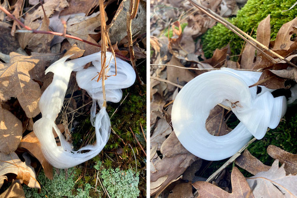 17 Odd Items With Simple Explanations.