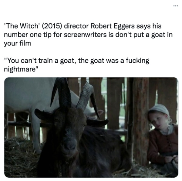 30 Movie Facts You Probable Had No Idea About.