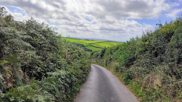 The main road to my house in England. Two cars cannot pass, one has to reverse.