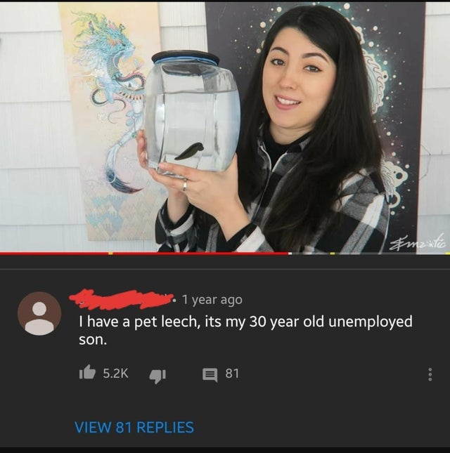 funny comments - unemployed 30 year old meme - Emantic 1 year ago I have a pet leech, its my 30 year old unemployed son. 81 View 81 Replies
