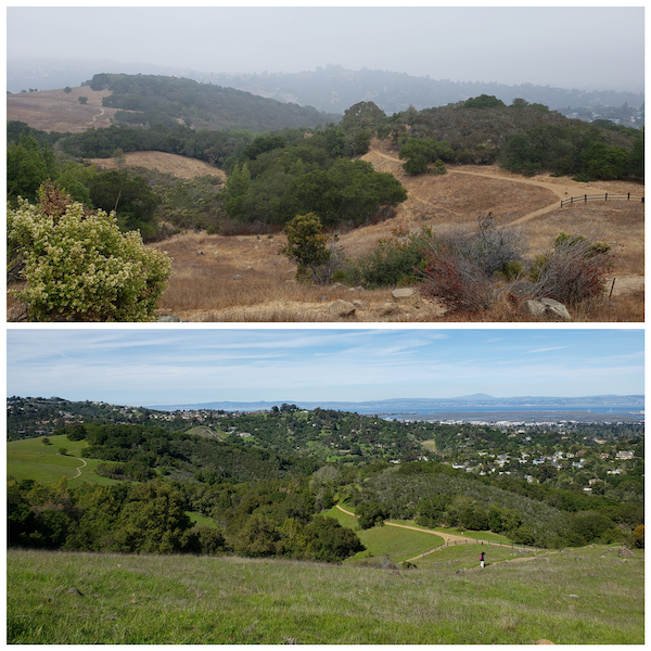 The Bay Area: Before and After a wet winter