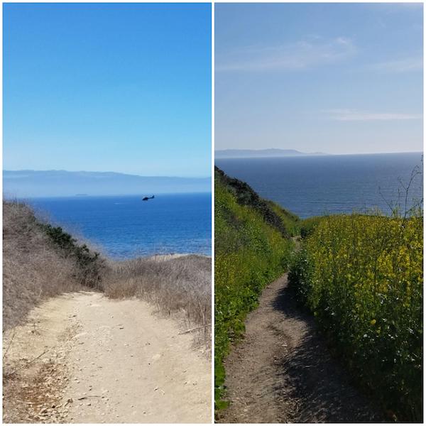 SoCal before and after a wet winter.