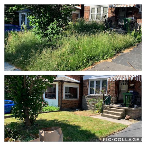 Before/After of a property we cleaned up today