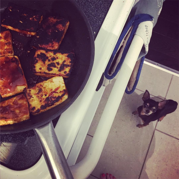 First cooking attempt in a long while: serving up burnt Tofu. Do we have any takers (other than the gremlin)???