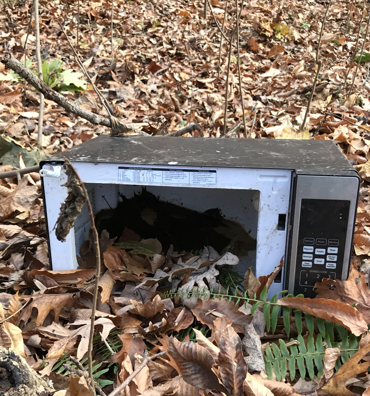 “I found a microwave in the woods while hiking. Why? How?”