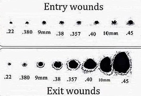 24 Charts Filled With Random Knowledge.