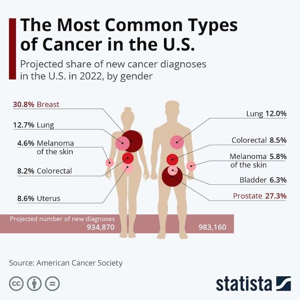 24 Charts Filled With Random Knowledge.