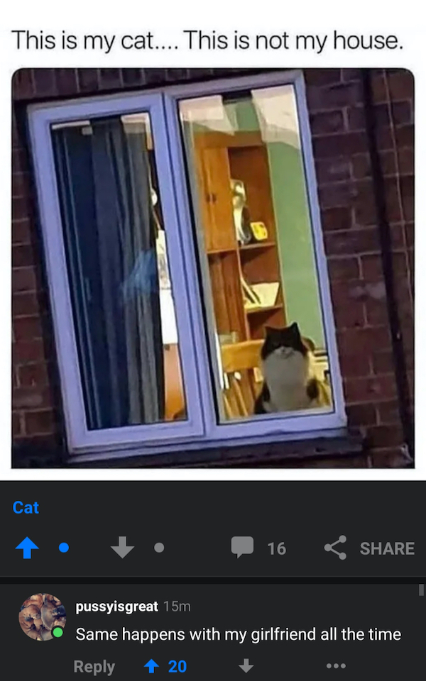 cursed comments - funny posts - my cat not my house - This is my cat.... This is not my house. Cat 16 pussyisgreat 15m Same happens with my girlfriend all the time 1 20