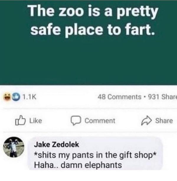 cursed comments - funny posts - multimedia - The zoo is a pretty safe place to fart. 48 931 Comment Jake Zedolek shits my pants in the gift shop Haha.. damn elephants