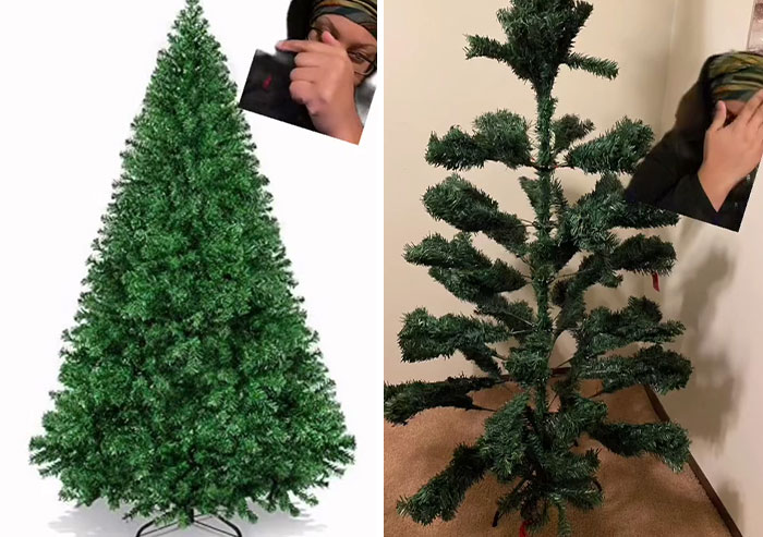 expectations vs reality  --  christmas tree fail