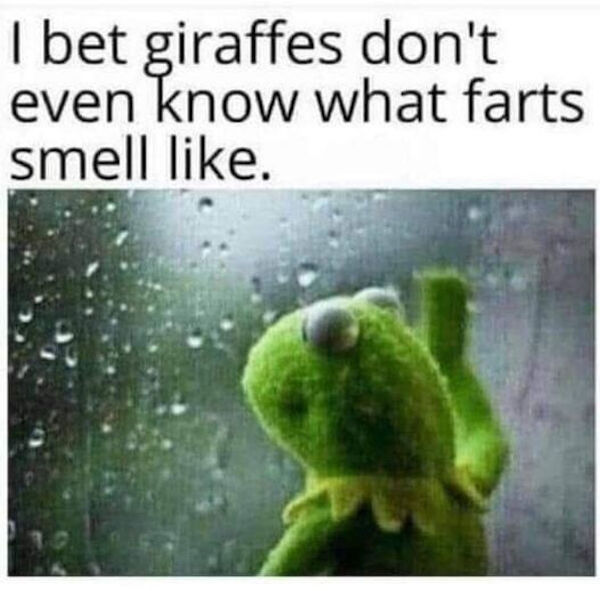 kermit rain meme - I bet giraffes don't even know what farts smell .