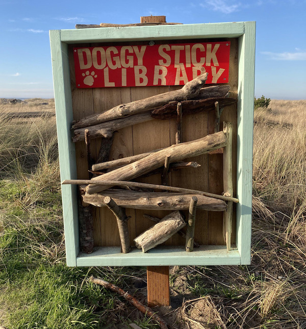 A doggy stick library at the beach.