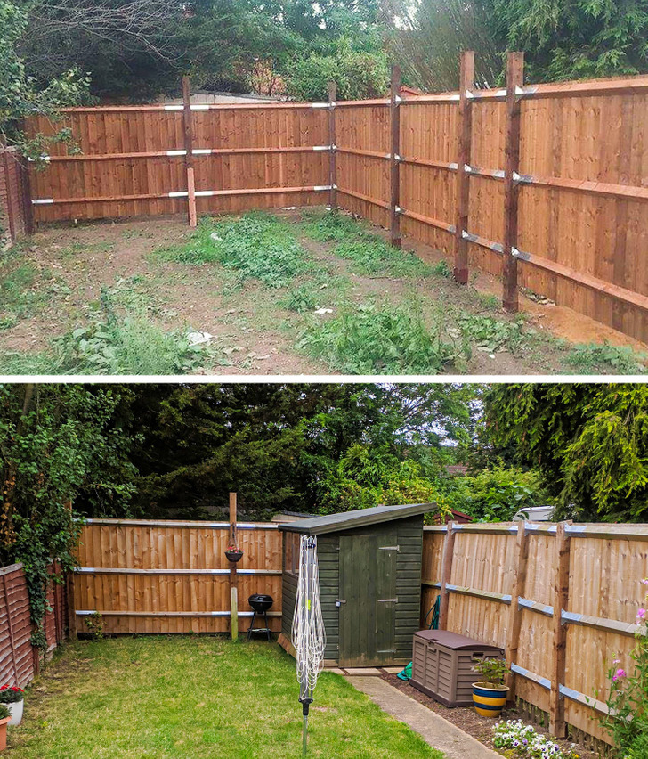 before and after pics yard