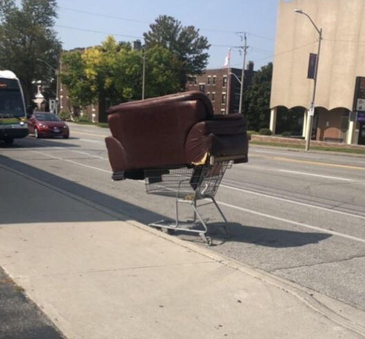 “Just a couch in a shopping cart.”