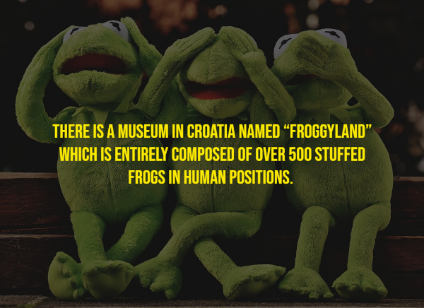 17 Random Facts To Feed Your Brain.