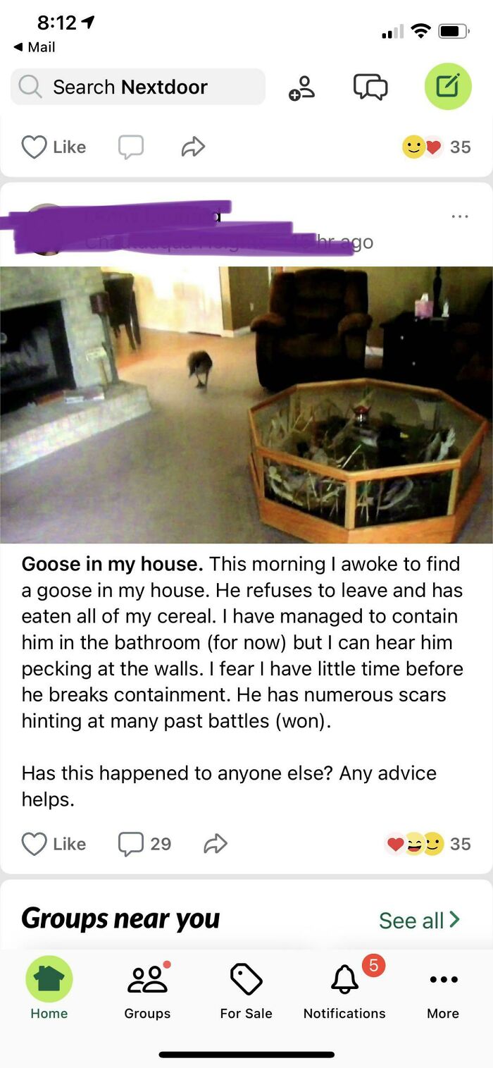 crazy neighbors - screenshot - 1 Mail Search Nextdoor og 3 35 go Goose in my house. This morning I awoke to find a goose in my house. He refuses to leave and has eaten all of my cereal. I have managed to contain him in the bathroom for now but I can hear 