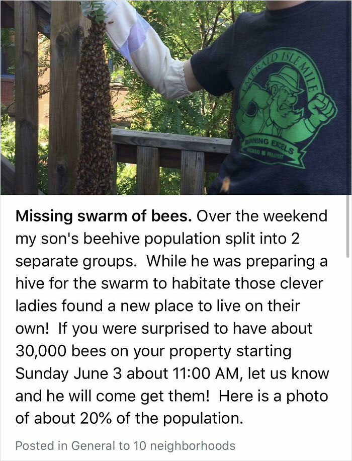 crazy neighbors - group quotes - Emerald Semiles > Running Excels Karoset Missing swarm of bees. Over the weekend my son's beehive population split into 2 separate groups. While he was preparing a hive for the swarm to habitate those clever ladies found a