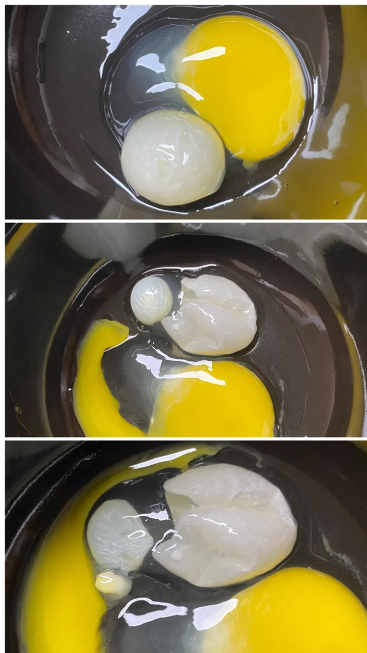 odd and interesting pics - egg yolk