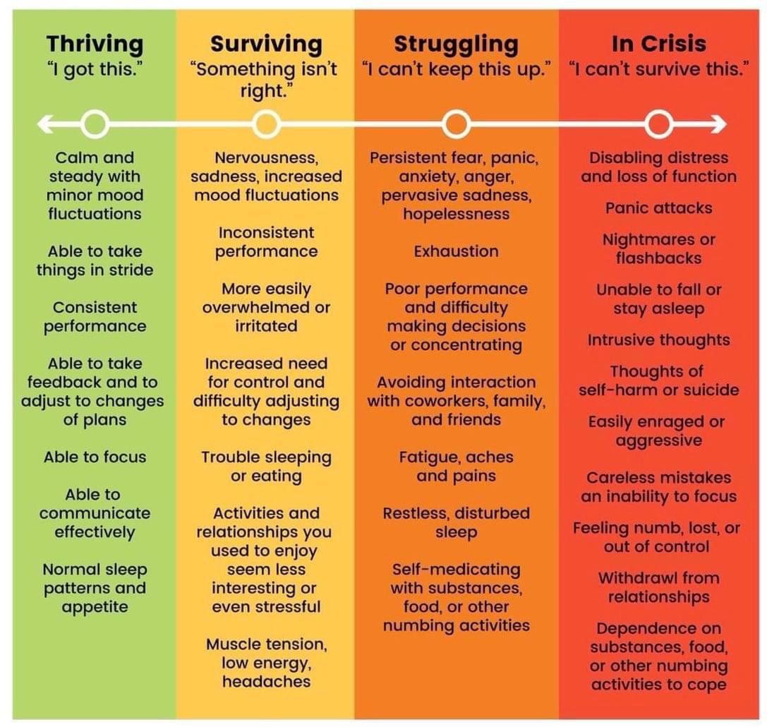 thriving surviving struggling in crisis - Thriving "I got this." Surviving Struggling In Crisis "Something isn't "I can't keep this up." "I can't survive this." right." Calm and steady with minor mood fluctuations Nervousness, sadness, increased mood fluc
