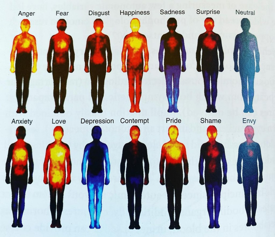 thermal imaging of emotions - Anger Fear Disgust Happiness Sadness Surprise Neutral Anxiety Love Depression Contempt Pride Shame Envy