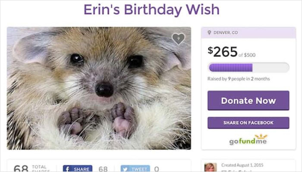 gofundme pages - Erin's Birthday Wish Denver, Co $2655500 Raised by people in 2 months Donate Now On Facebook gofundme 68 Total Created 68 Tweet 0