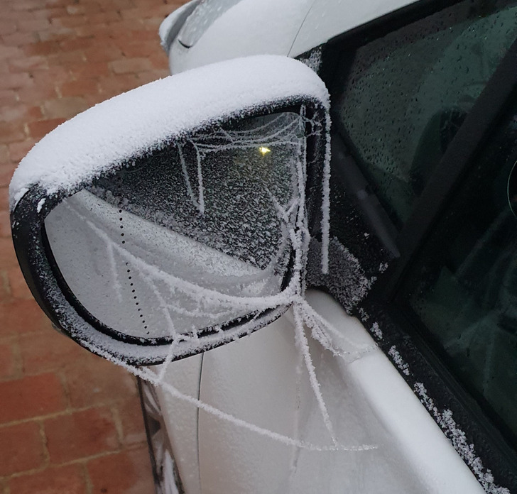 “This frozen spider web on my car mirror”