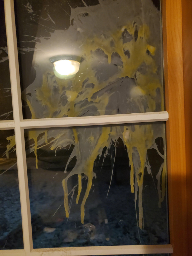 patient people - Windchill is −21 and some kids just egged our house. They froze instantly