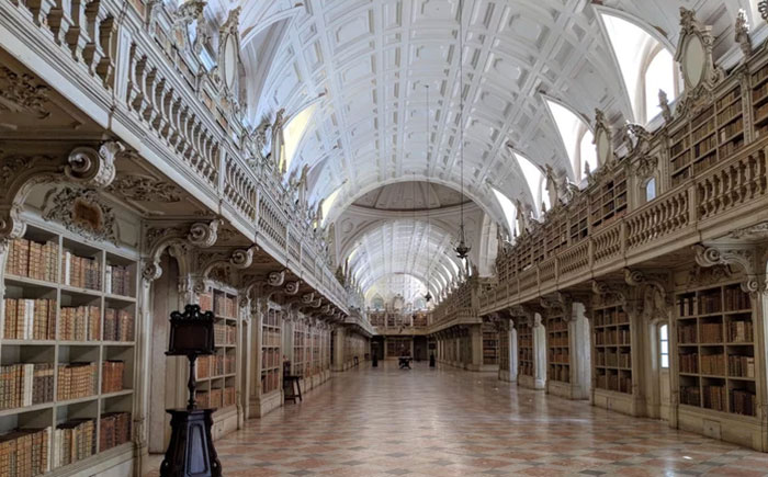 fascinating facts - the library at University of Coimbra in central Portugal hosts a colony of bats. Every night, the windows of the library are left open and the bats come in to feed on insects, thereby protecting the centuries-old historic documents. Ev