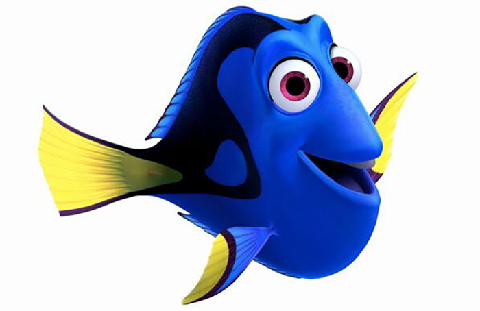 fascinating facts - that Dory from "Finding Nemo" is deemed one of the most neuropsychologically accurate movie portrayals of an amnesic syndrome and the considerable memory difficulties faced daily by people with it