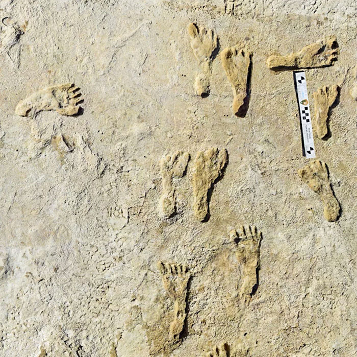 fascinating facts - the oldest evidence of humans in the Americas was found less than four months ago, and was several thousands of years older than previously thought