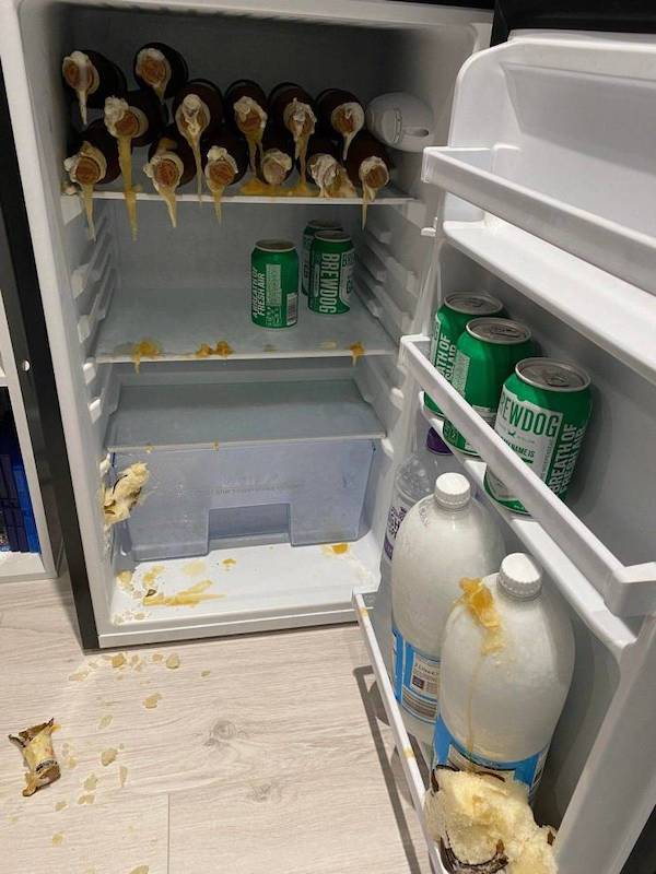 people having a bad day - refrigerator - Bato Freshair Brewdog Sltaid Th Of 2 St Ewdog Oso Areath Of