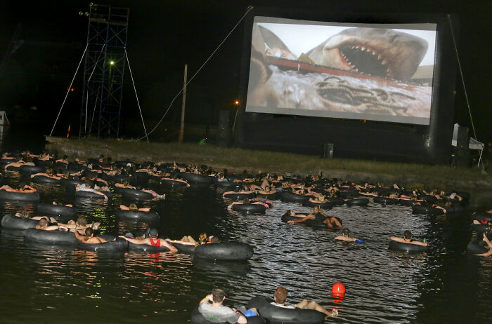 terrifying photos - best way to watch jaws