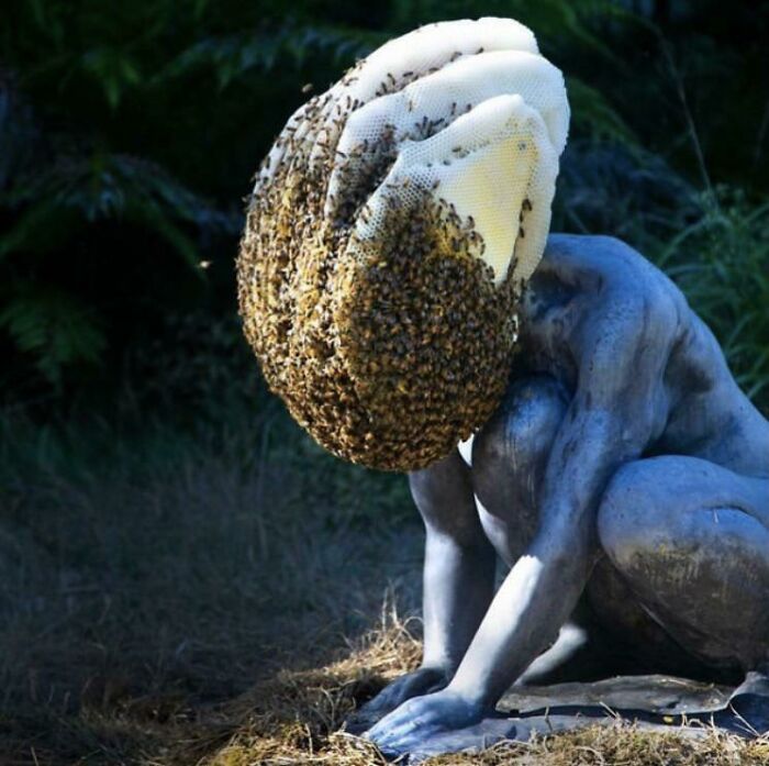 terrifying photos - statue with beehive head