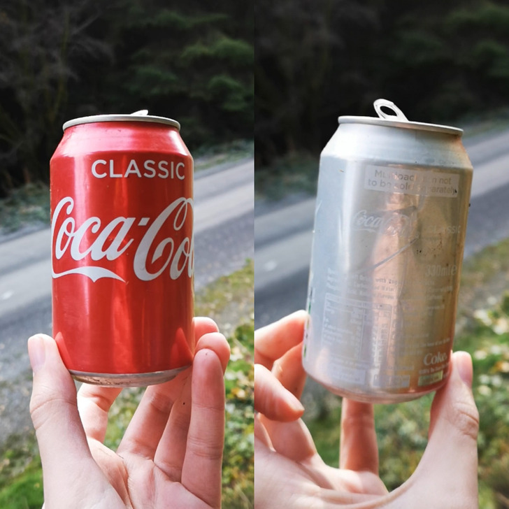 “Accidentally left a Coke can face down in a forest, came back a year later to find it like this.”