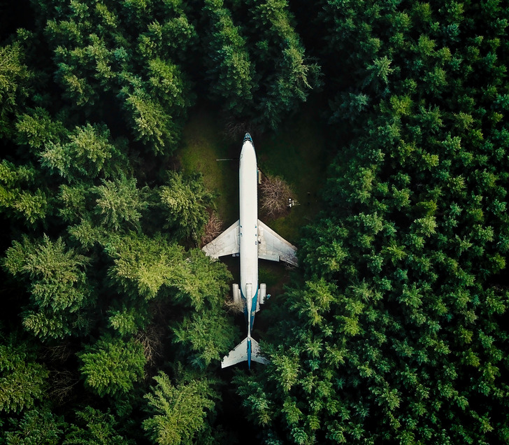 A plane in the middle of a forest in Oregon