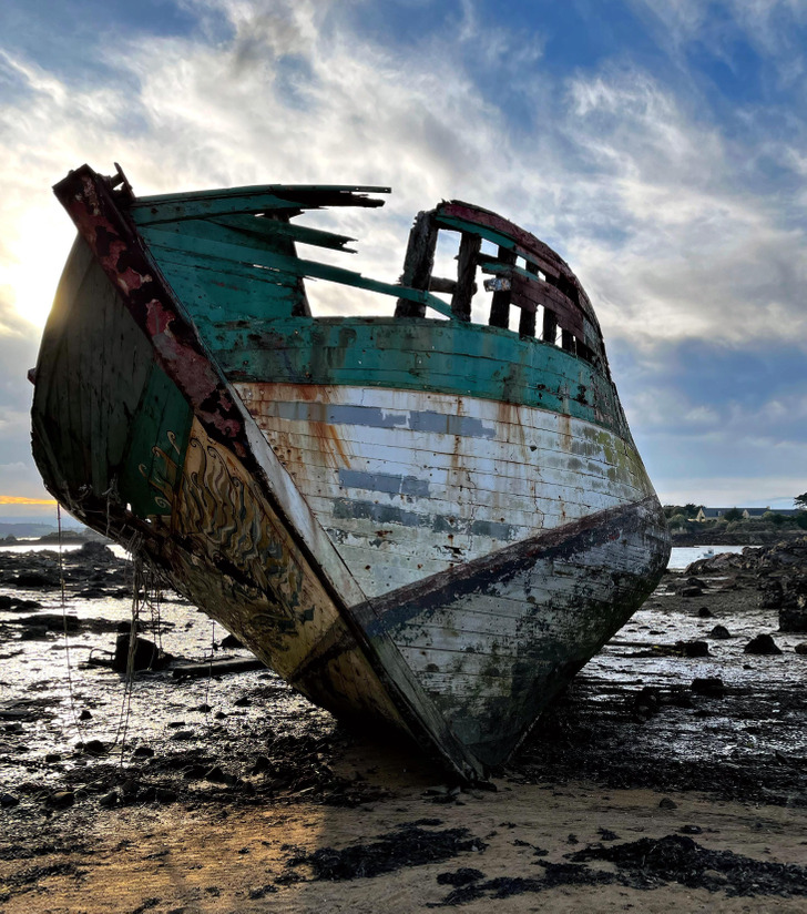 “I absolutely love this abandoned ship we found today.”