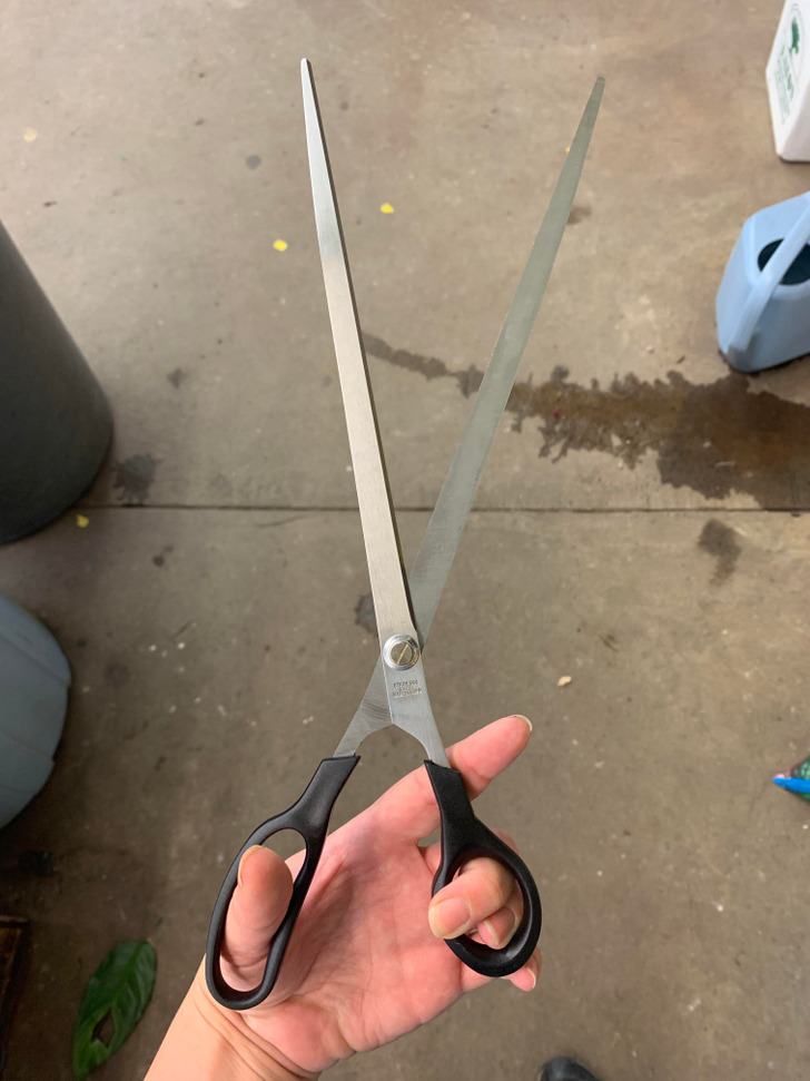 “We found these scissors while remodeling a laundry room, and they are probably from like 50 years ago. They are used to cut wrapping paper.”